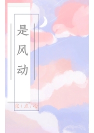 是风动也是心动小说